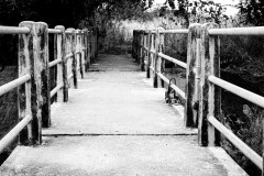 Bab_2020_034-00057