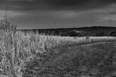 Bab_2020_034-00072